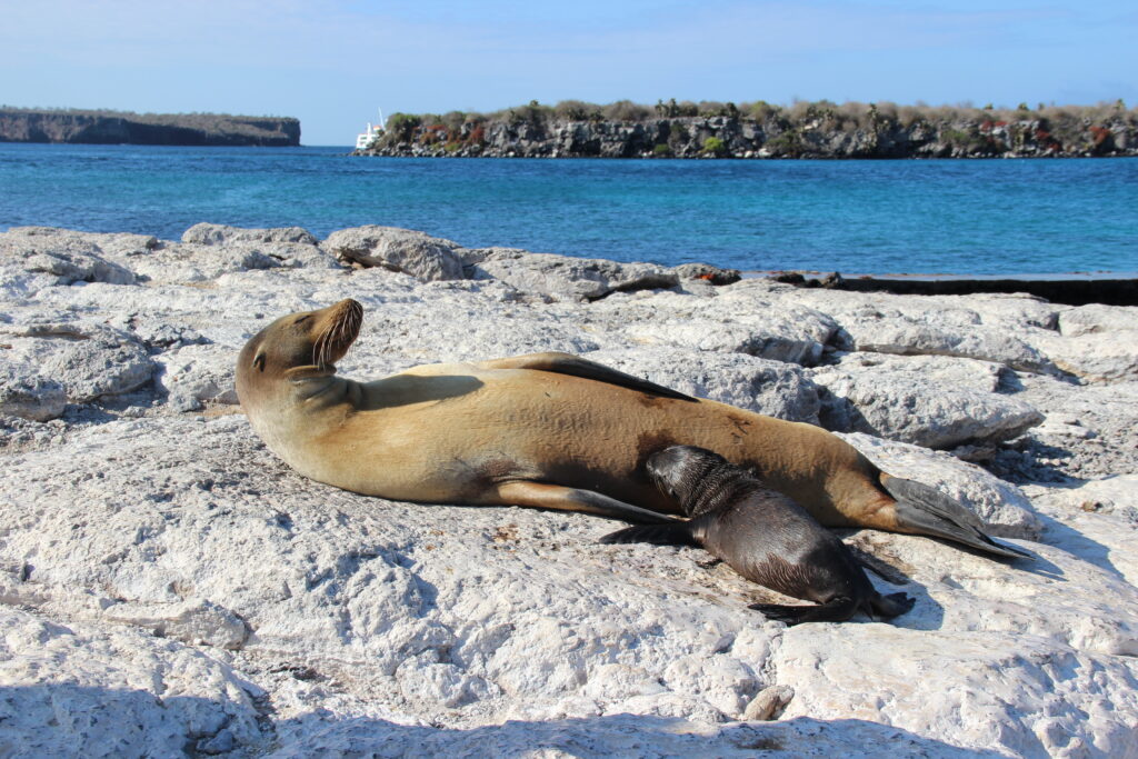 Galapagos in november