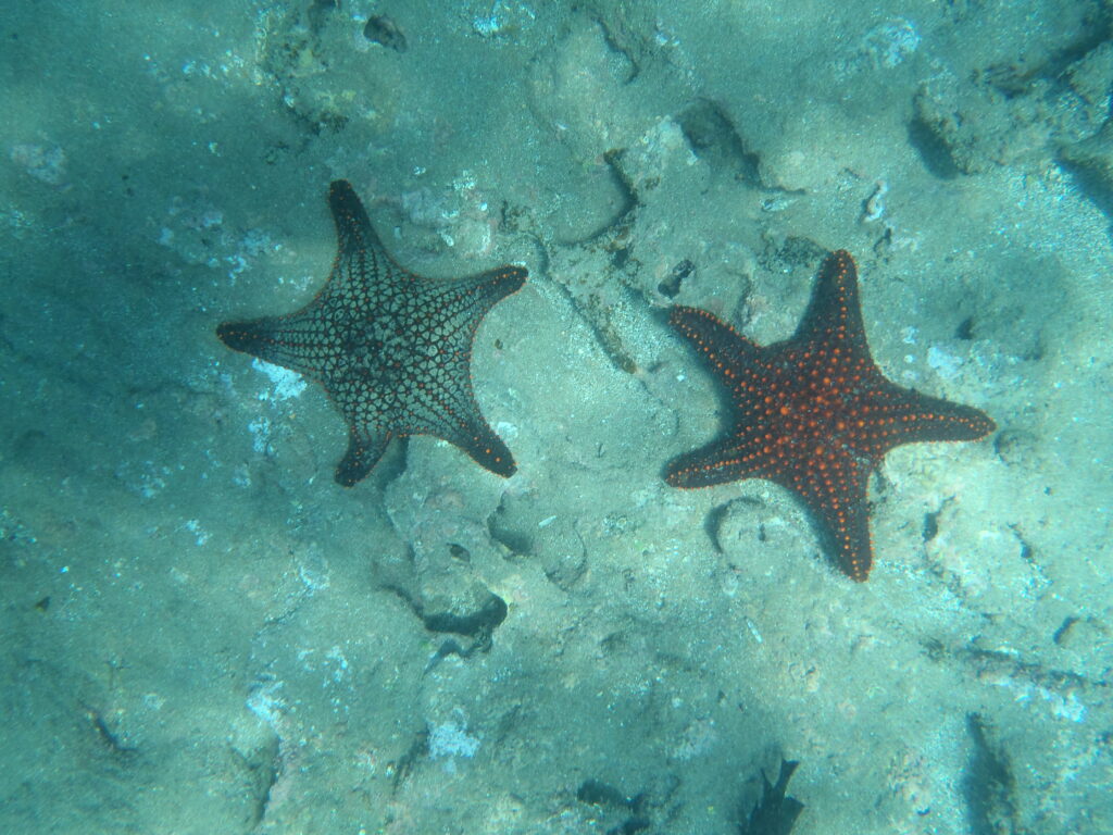 Galapagos in november