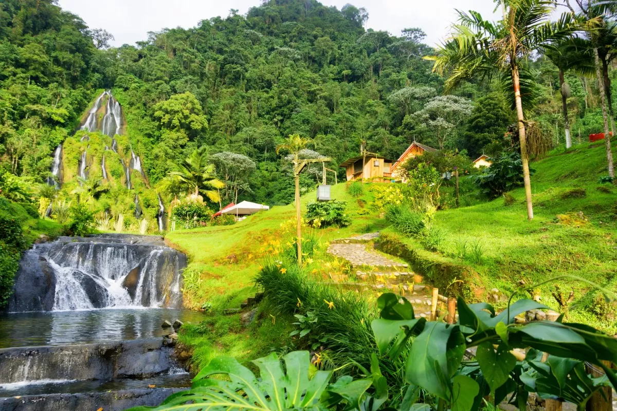 Colombian Amazon: Nature in Its Purest Form
