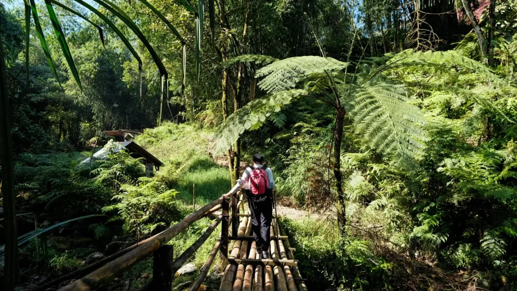 Responsible Tourism in south america